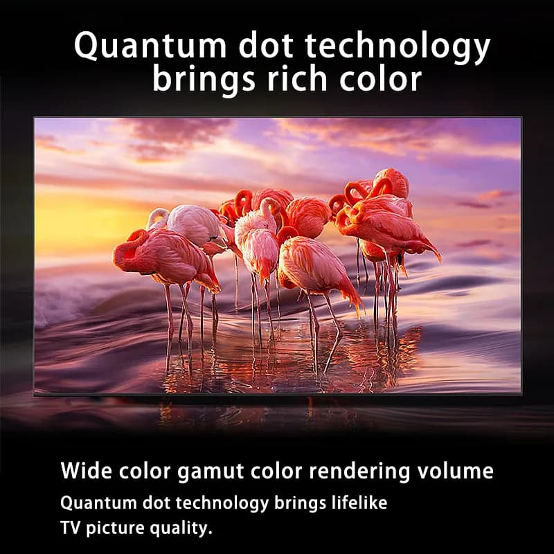 QLED TV supplied detail artwork 5